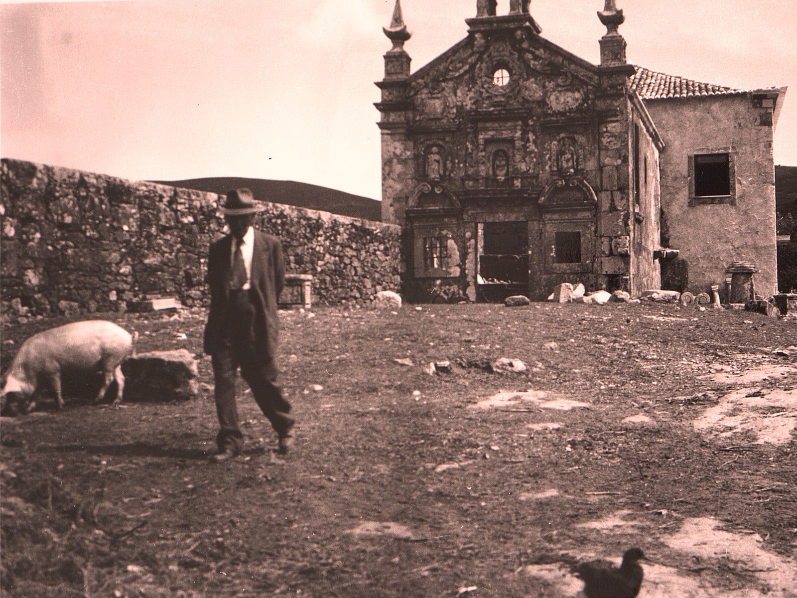 aquilino-no-terreno